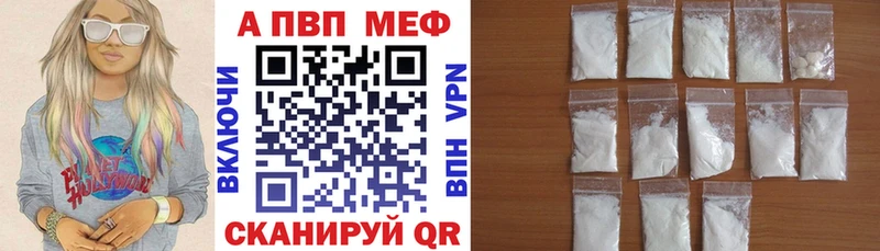 kraken tor Губкин Alpha PVP СК