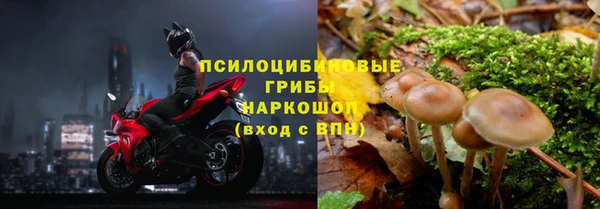 сатива Алексин