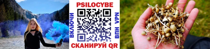 наркота сайты даркнета официальный сайт Псилоцибиновые грибы мицелий Губкин