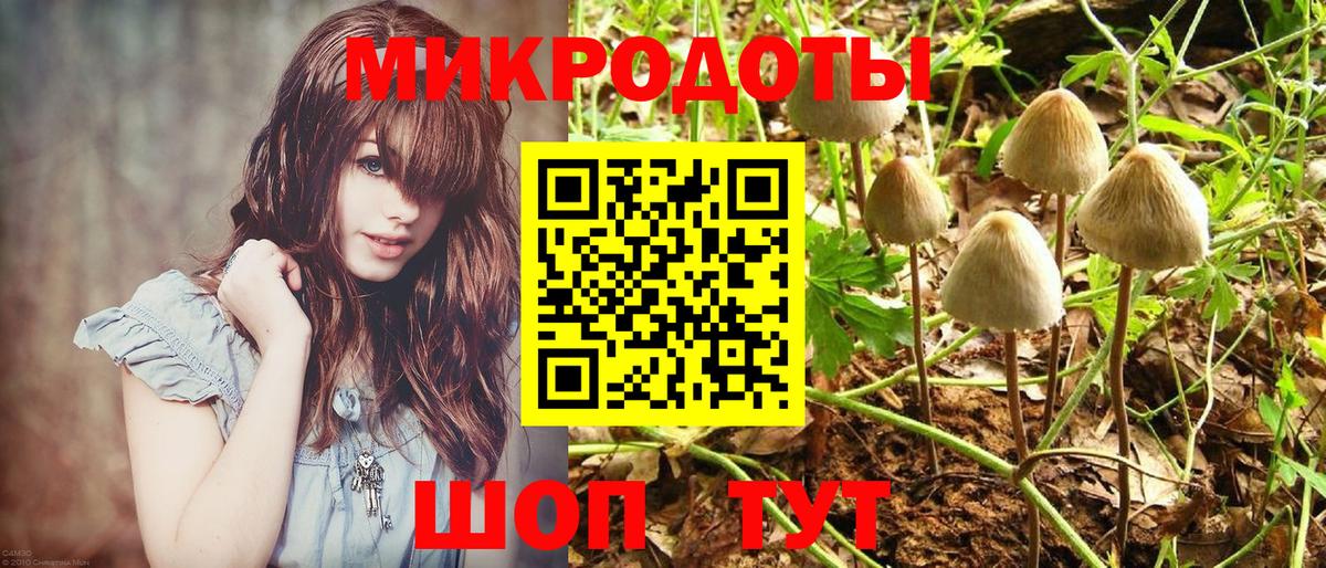 Губкин  Галлюциногенные грибы GOLDEN TEACHER  Вход с VPN 